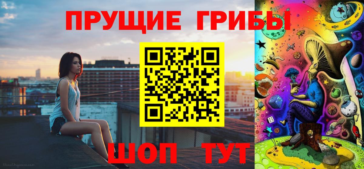 Галлюциногенные грибы Cubensis Волжск