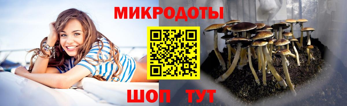 Псилоцибиновые грибы Psilocybine cubensis  Вход с VPN  Волжск  Псилоцибиновые грибы Cubensis 