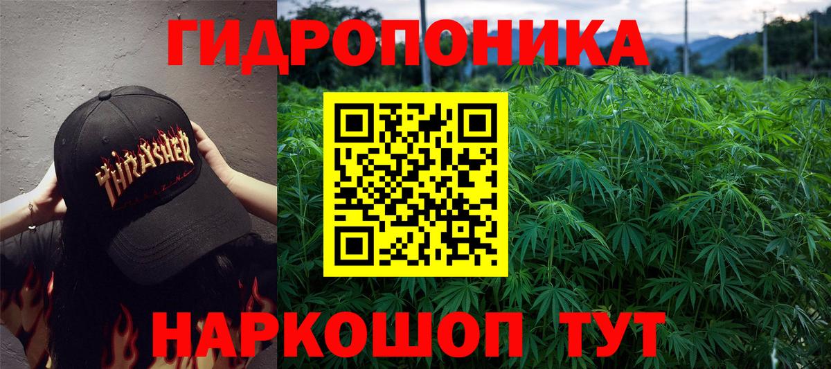 Каннабис MAZAR  Вход с VPN  Бошки марихуана индика  Волжск 